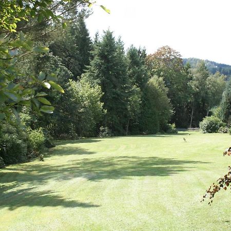Fewo Roespe Erndtebrück Buitenkant foto